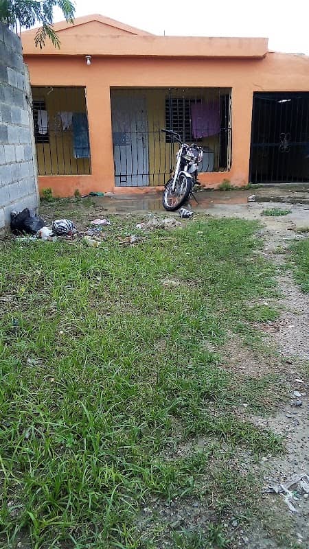 Pintura - Image 1