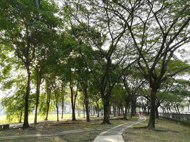 Butterfly Park - Image 2