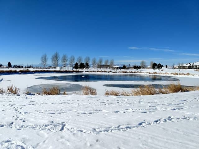 Meadows Open Space - Image 1