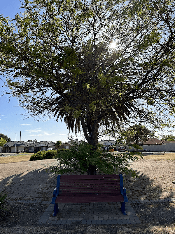 Cardiff Walk Reserve - Image 2