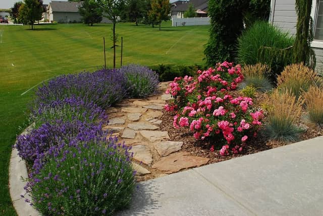 Hidden Meadows Park - Image 1
