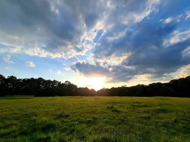 Merrow Common - Image 1