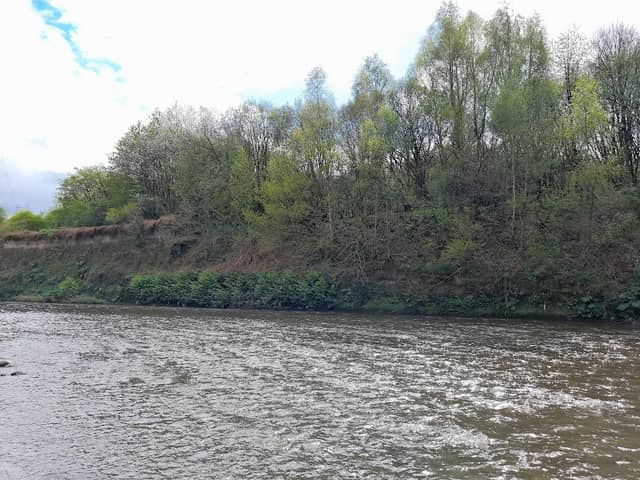 Drinkwater Park Nature reserve - Image 1