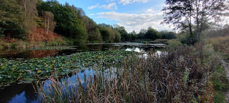 Drinkwater Park Nature reserve - Image 2