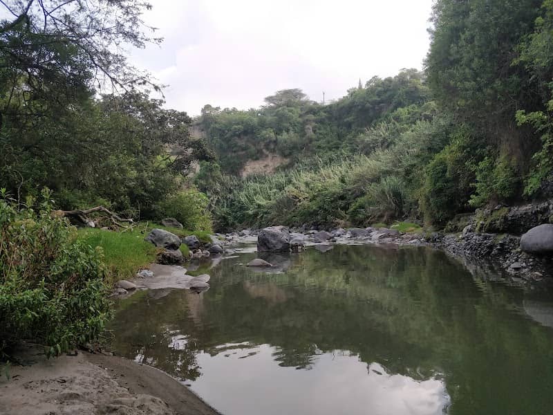 Los Algarrobos Park - Image 2