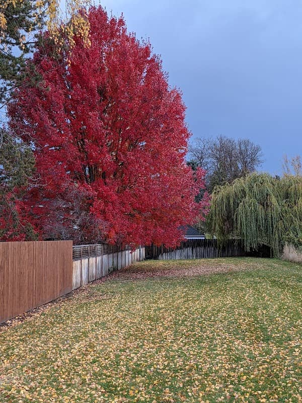 Flanagan Park - Image 2