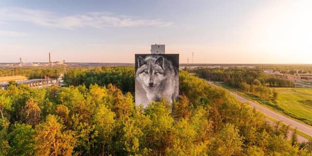 Thompson Wolf Mural - Image 1