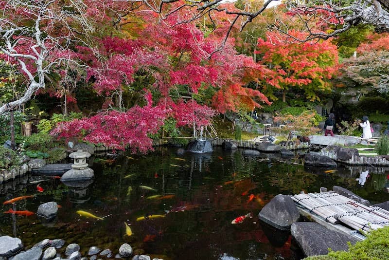 Hasedera - Image 3