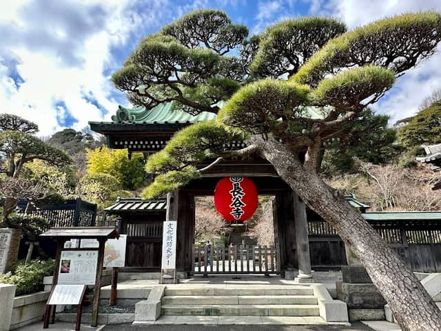 Hasedera - Image 2