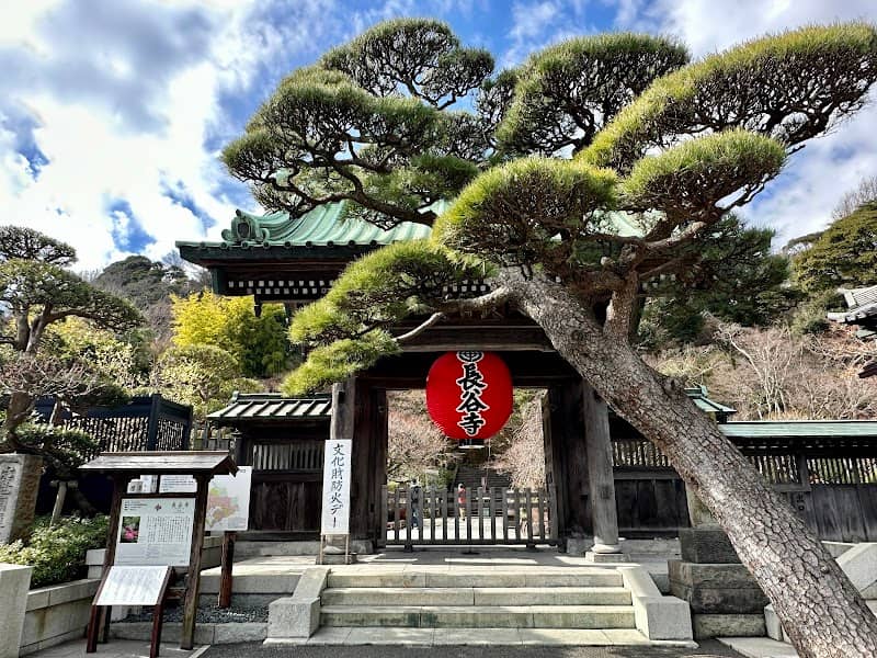 Hasedera - Image 2