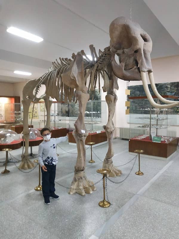 Natural History Museum - Image 1