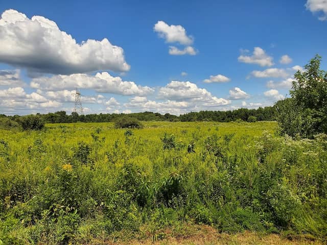 Supawna Meadows National Wildlife Refuge Observation Point - Image 1
