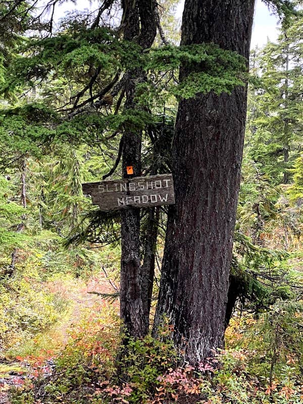 Paradise Meadows- Strathcona Provincial Park - Image 3