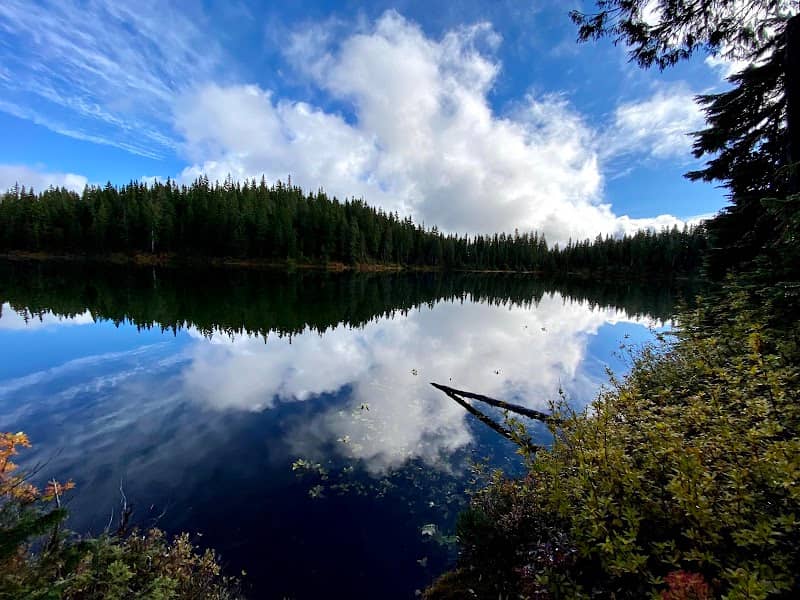 Paradise Meadows- Strathcona Provincial Park - Image 1
