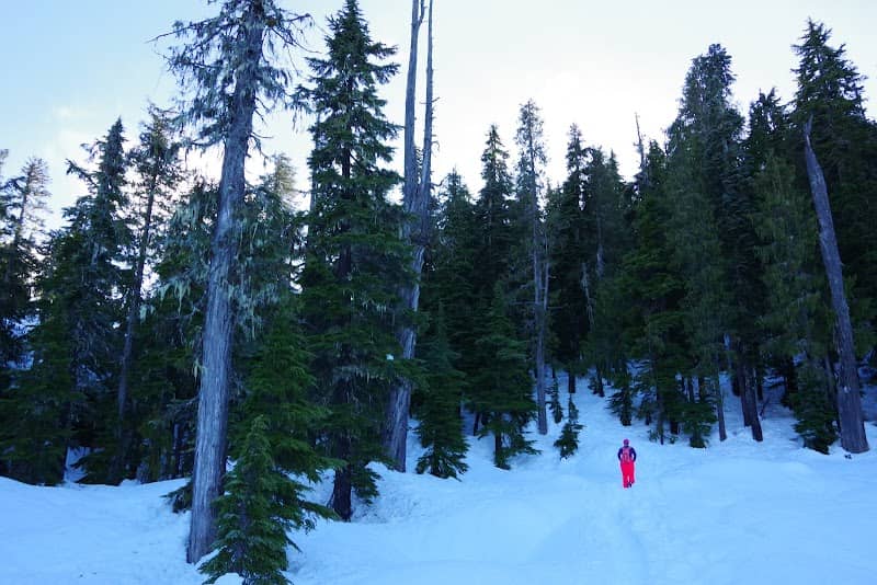 Paradise Meadows- Strathcona Provincial Park - Image 2