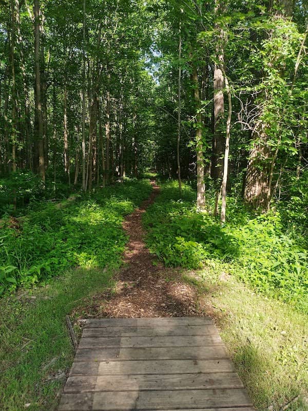 Solon Woods State Nature Preserve - Image 1