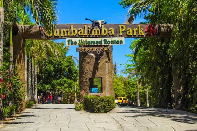 Gumbalimba Park - Image 1