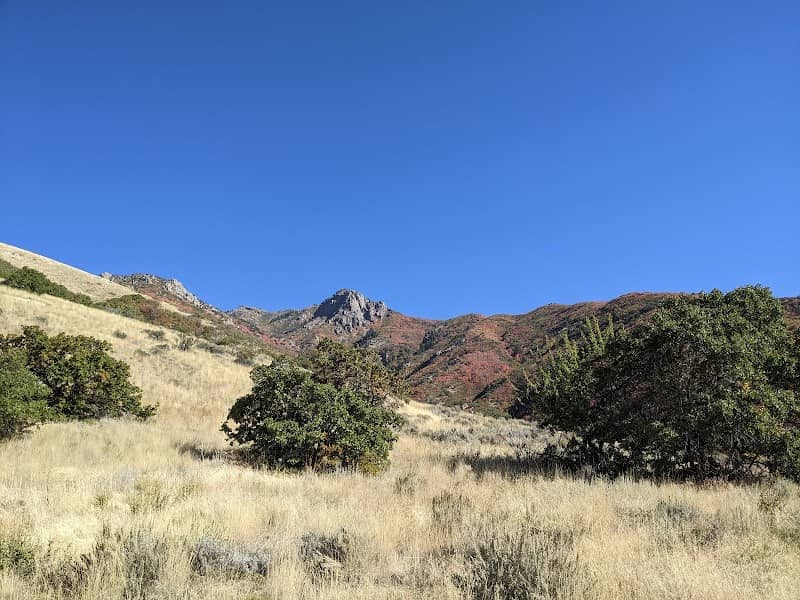 Wilderness Park - Image 3