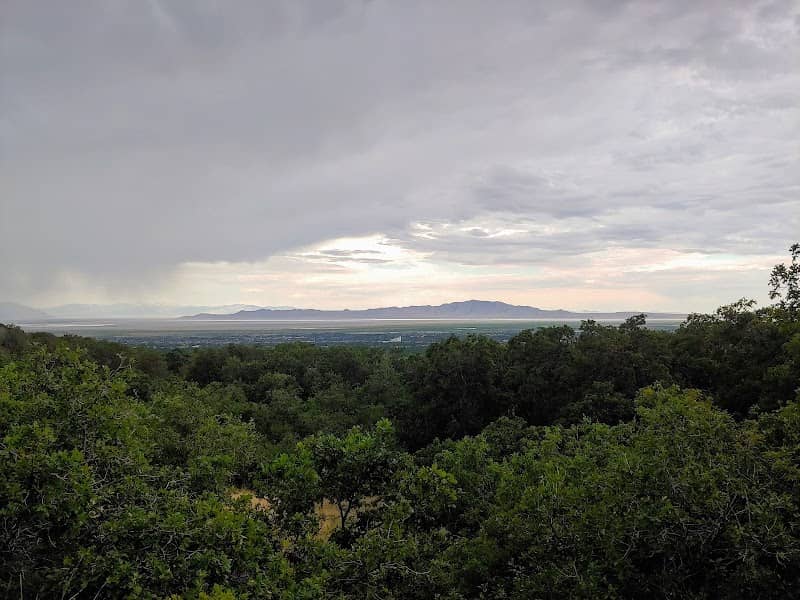 Wilderness Park - Image 2