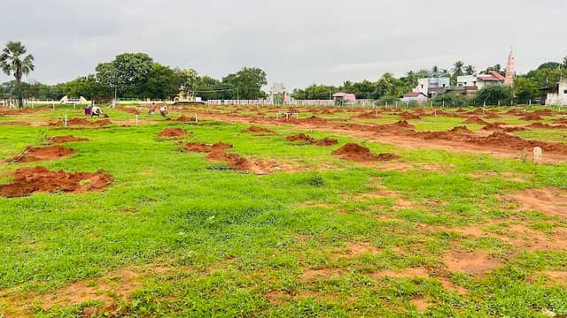 JDR Garden π΄ - Image 1