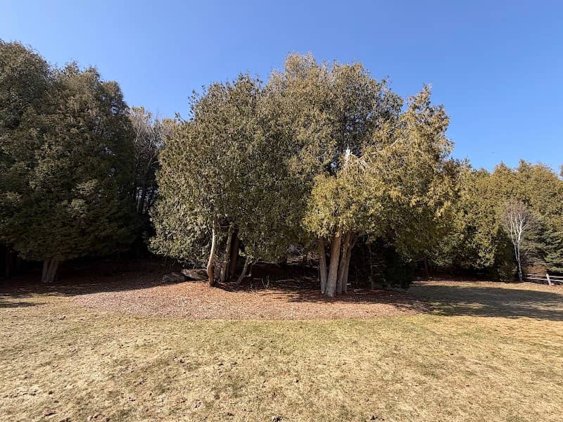 Schoolhouse Park - Image 1