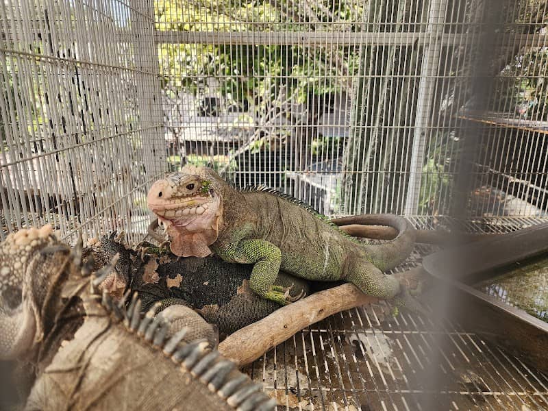 Zookeeper Animals Learning Center - Image 2