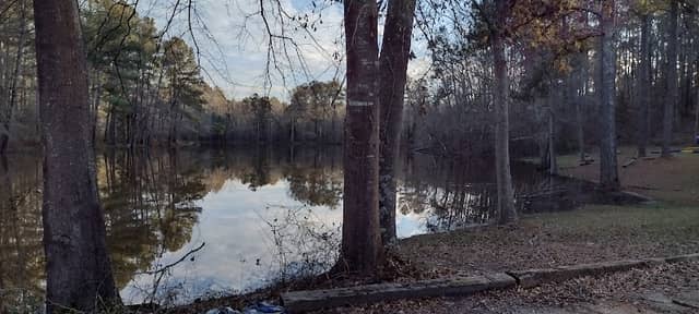 Lake Flovilla Park - Image 2