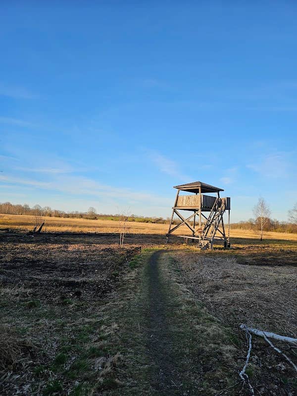 Fågeltorn Sylten - Image 1