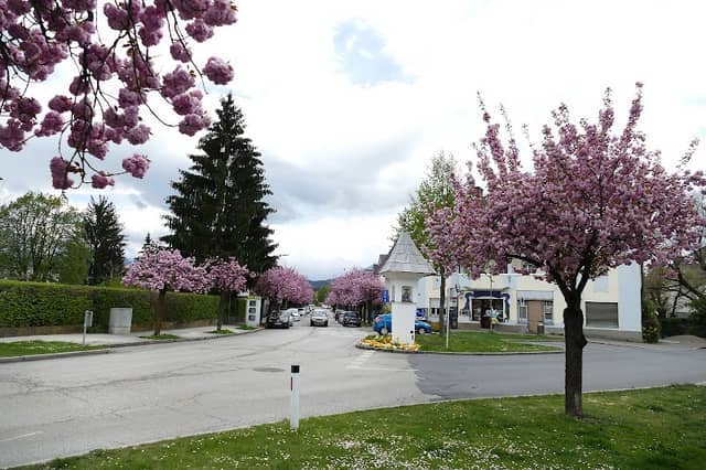 Bildstock - Image 2