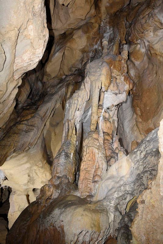 Cueva de Zubiburua / Isuntza I kobazuloa - Image 2