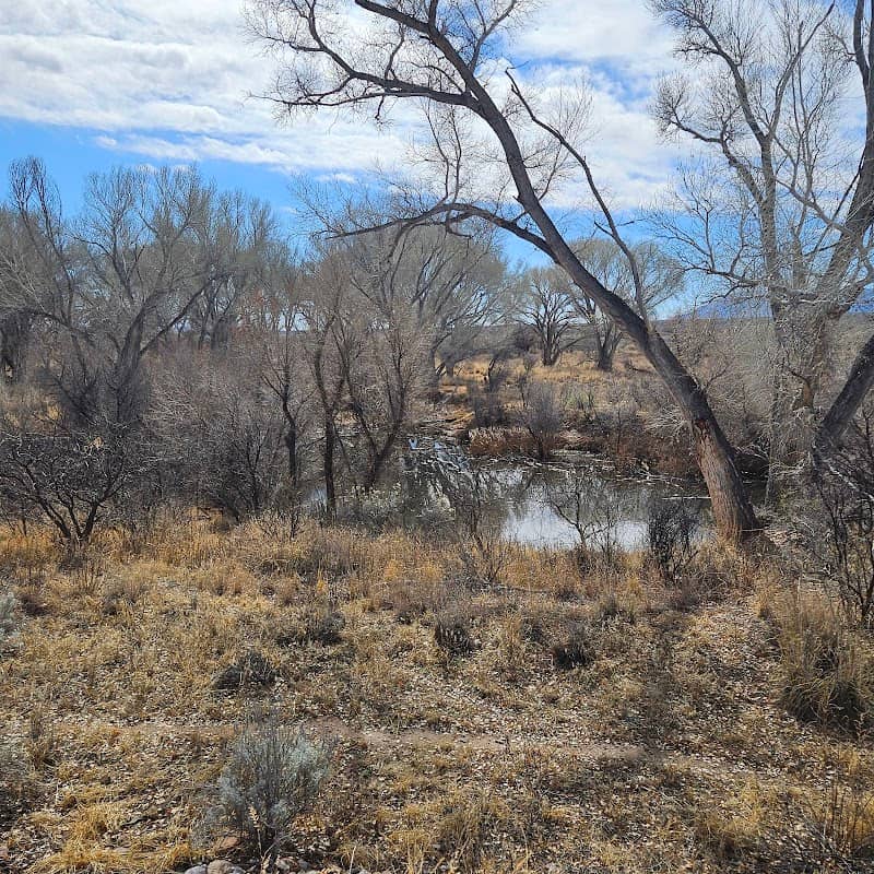 Kingfisher Pond - Image 1