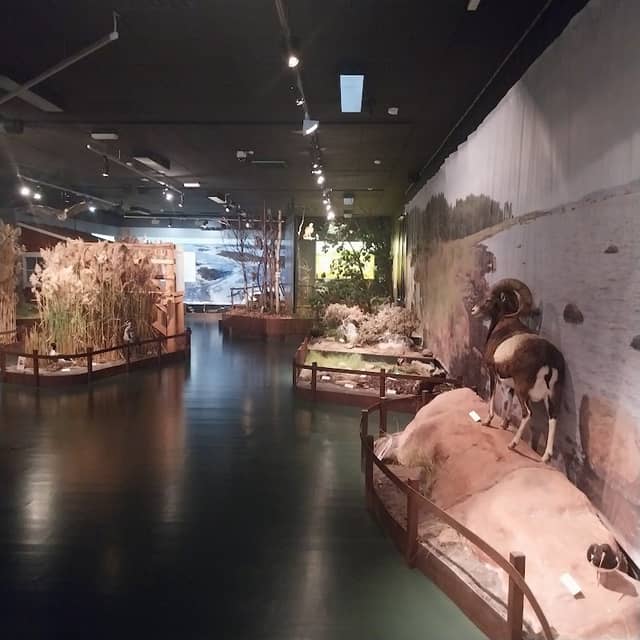 Nature Center Ark - Image 2