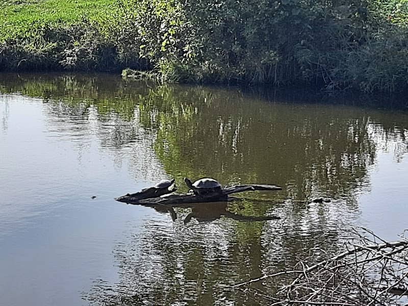 Panfish Park - Image 1