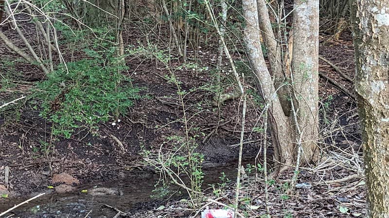 Hiker Trails - Image 1