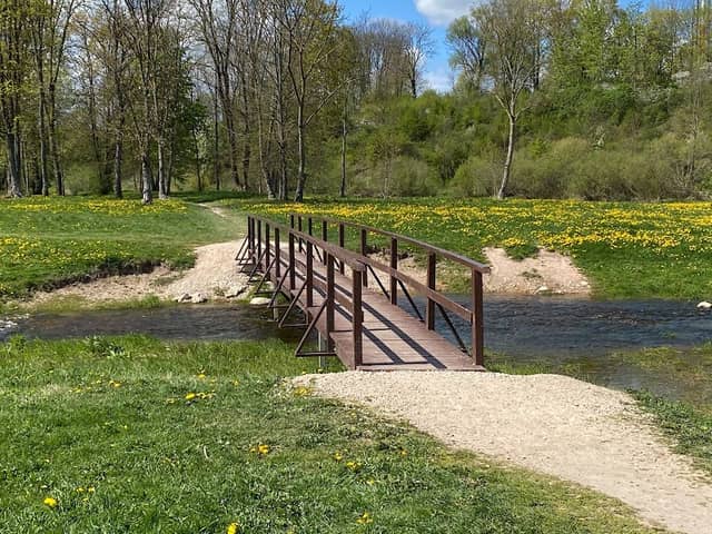 Ķirbaksala - Image 2