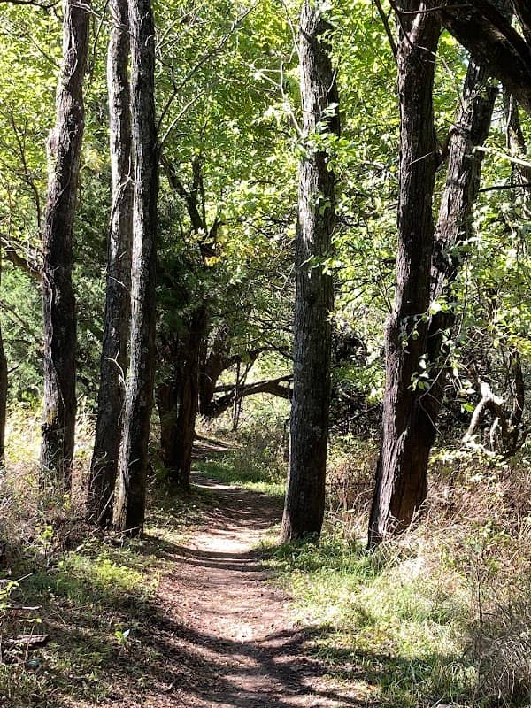 Big Bull Creek Park - Image 2
