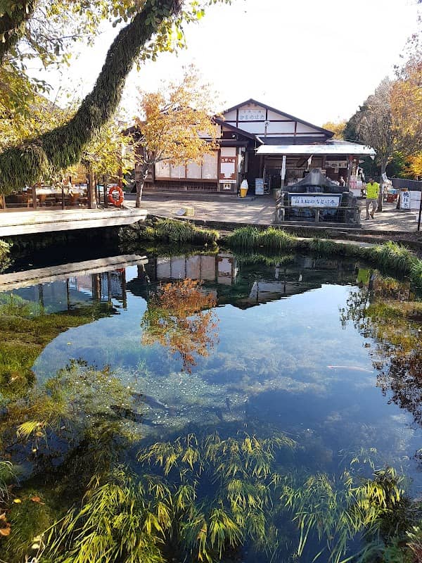 Waku-ike Pond - Image 2