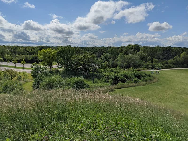 Old School Forest Preserve - Image 2
