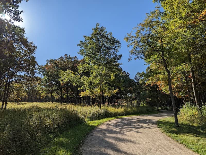 Old School Forest Preserve - Image 3