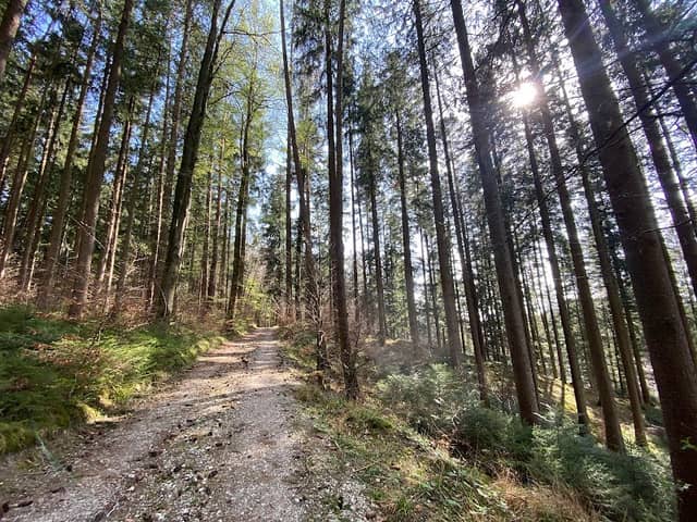 Kupferbachtal - Image 1