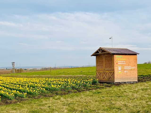 Genkia.cz – Samosběr Měnín 🌼🌷 - Image 1