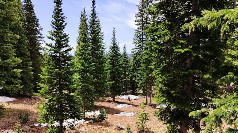Grand Mesa Scenic Byway - Image 1