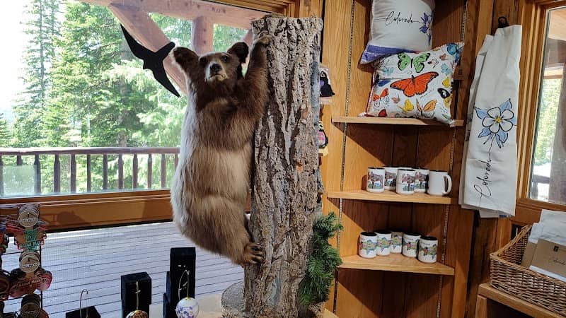 Grand Mesa Scenic Byway - Image 2