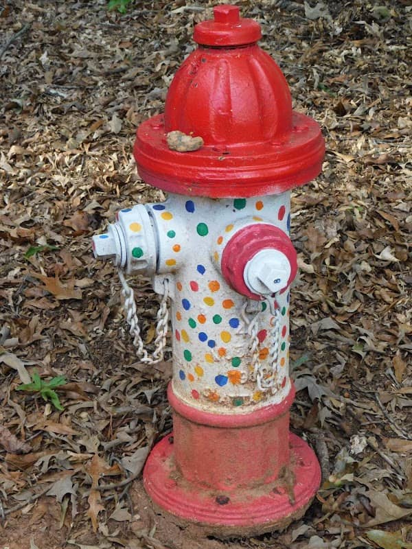 Childers Park - Image 1