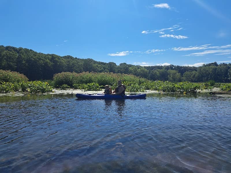 Galien River Marsh Water Trail Boat Launch - Image 2