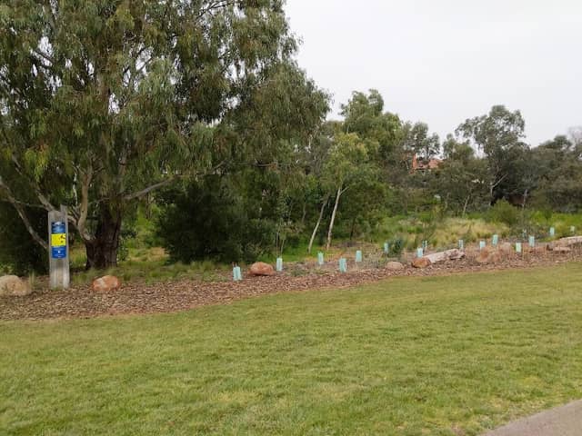 Water Wellbeing on Kororoit Creek - Image 1