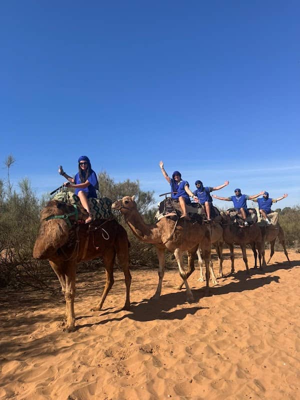 Agadir camel & horse riding - Image 3
