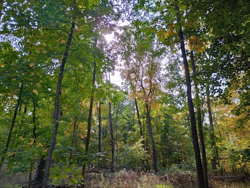 Waupun Park Maple Forest State Natural Area - Image 1
