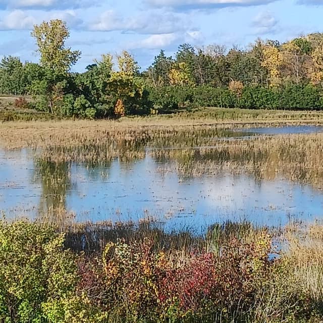 New London Waterfowl Production Area - Image 1