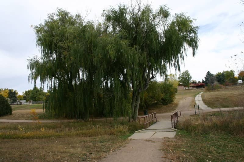 Carbone Park - Image 2